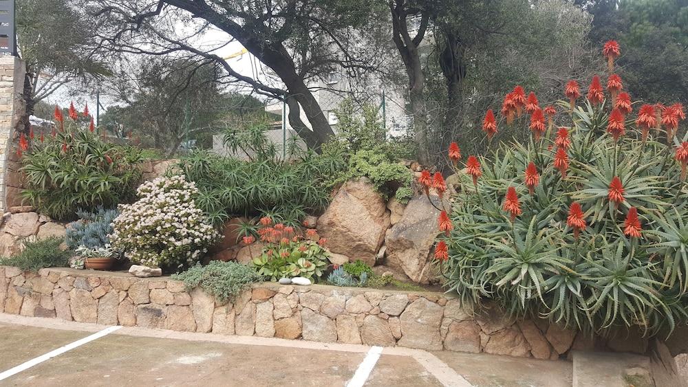 Hostel Corsica Porto-vecchio, Partie Dortoirs Porto-Vecchio (Corsica)